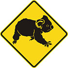 Koalas symbol